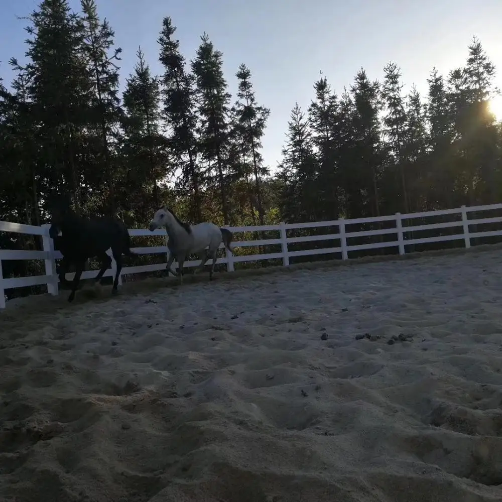 Fentech Professional White Vinyl PVC Plastic 3 Rail Horse Fence, Horse Rail Fence