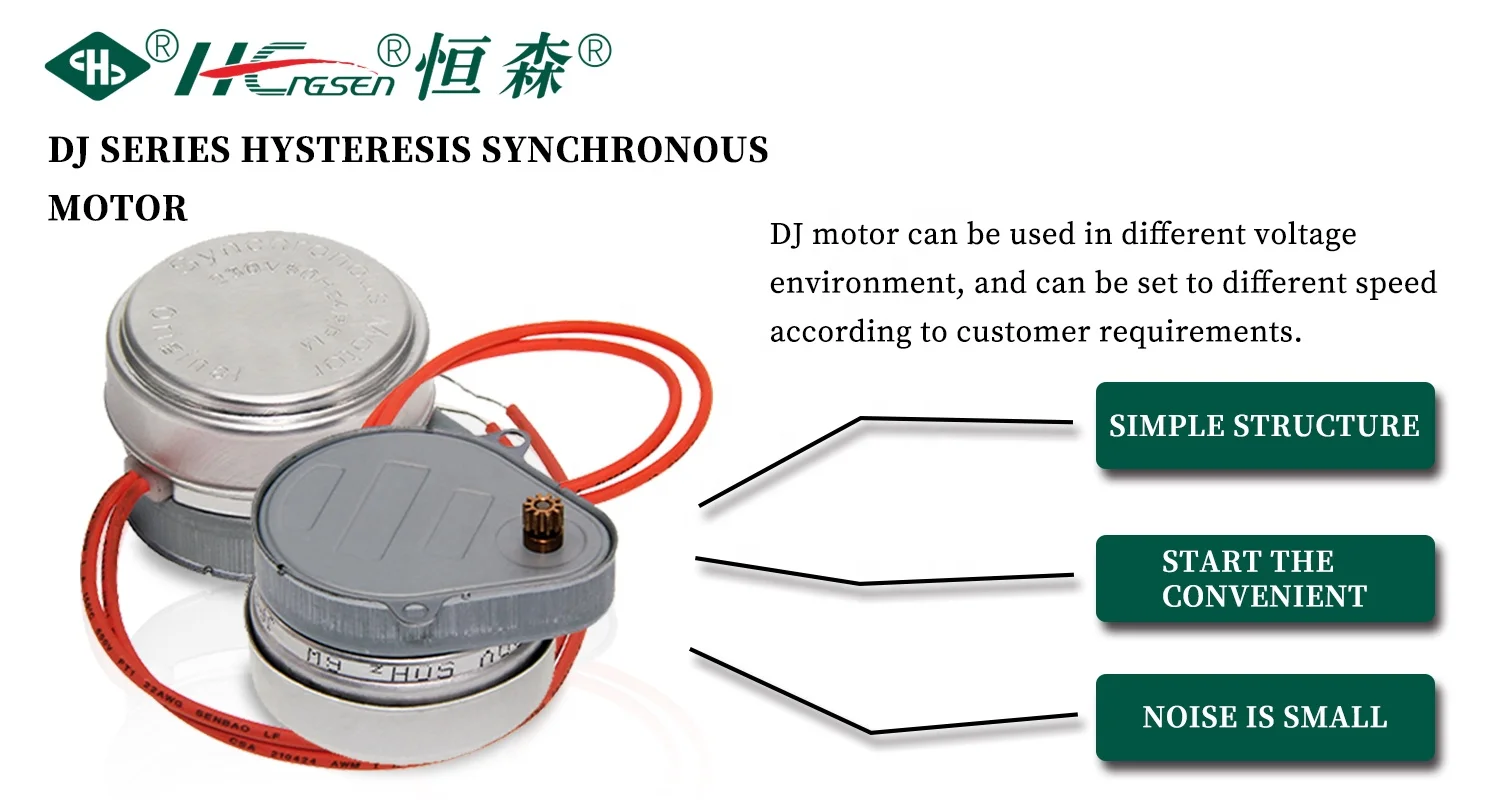 OEM ODM Factory HVAC Part Hysteresis Motor Zv24 Zone Valve Motor Hot Synchron Motor