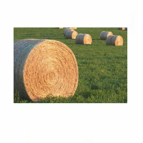 Factory Price Premium Quality Alfalfa Hay for Animal Feeding Stuff Alfafa Bales