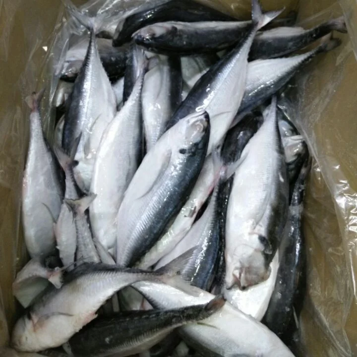 Горячая Распродажа, морепродукты, рыба, замороженный Жесткий Хвост