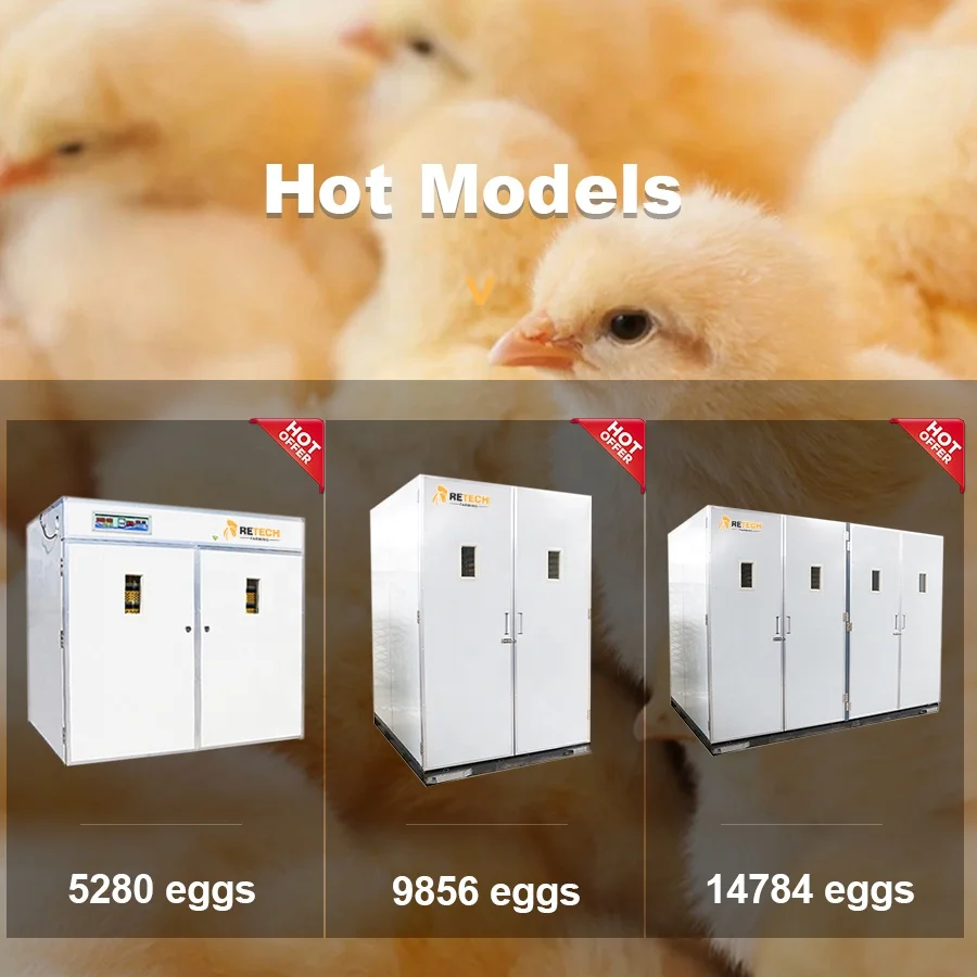 5000 Eggs Automatic Chicken Egg Incubator Hatching Machine