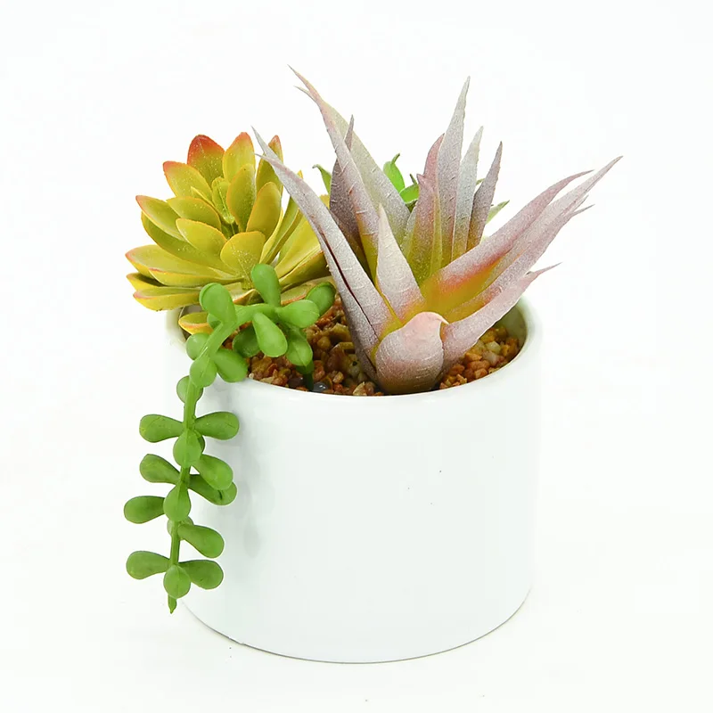 
Fast Delivery Artificial Succulent Plants Set With Paper Pots In Wooden Tray Succulents For Home Decor Bonsai 