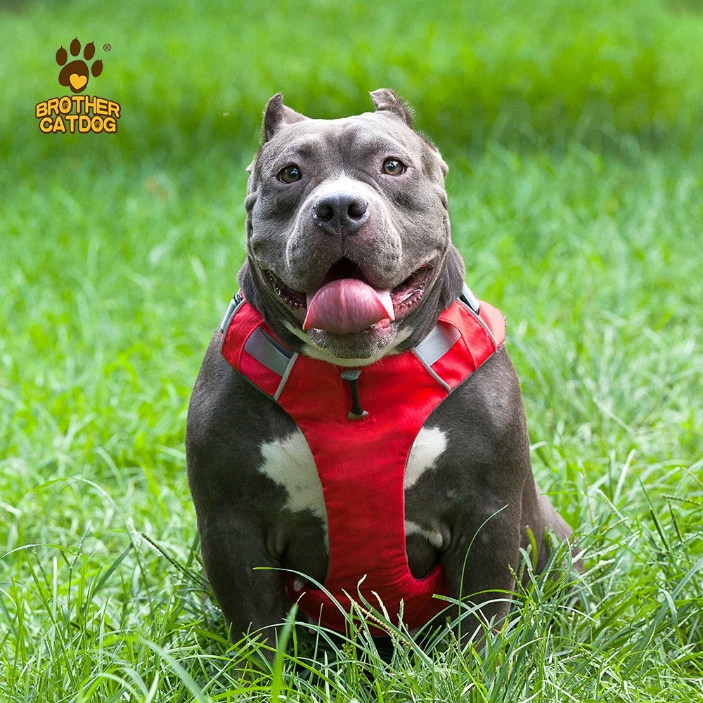 Hot Selling Soft Padded Reflective Dog Vest Harness  Breathable Adjustable No Pull Dog Harness