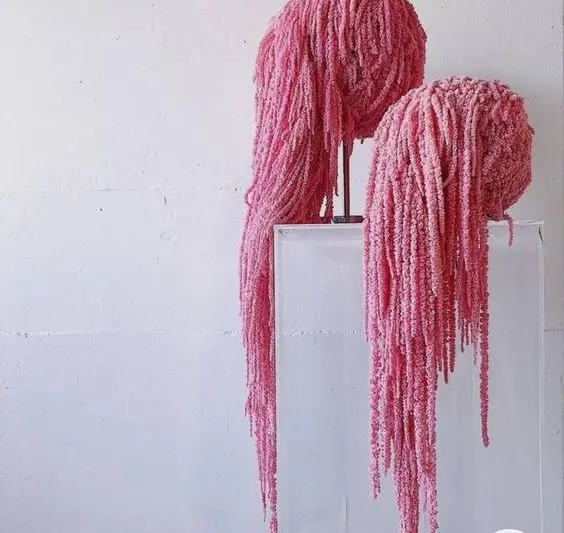 Factory Wholesale wisteria hanging flowers amaranthus fresh cut flowers Hanging Amaranthus for home decor or wedding backdrop