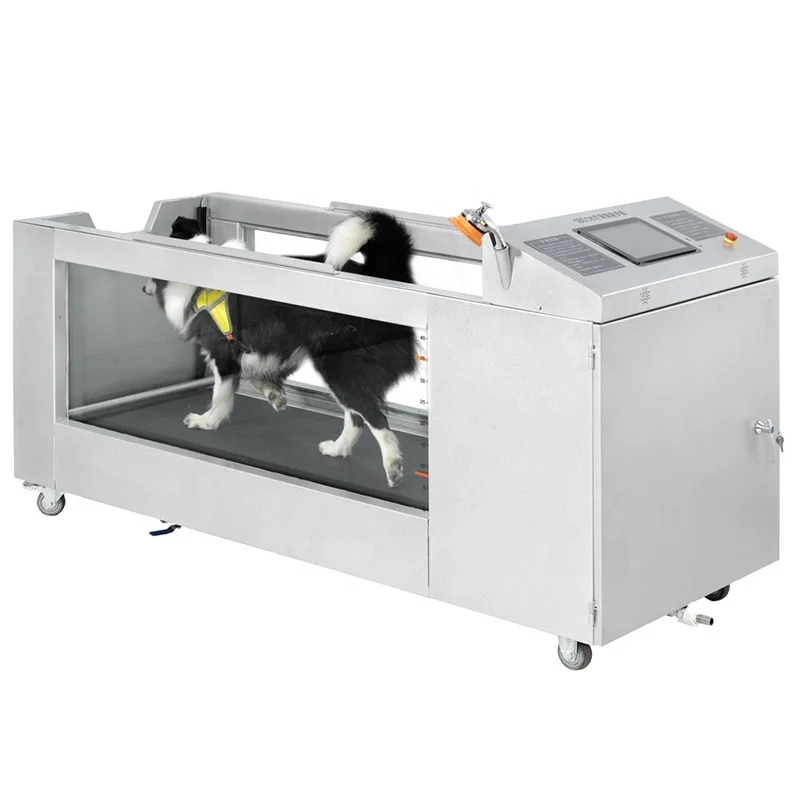 Медицинская реабилитационная беговая дорожка для домашних животных электрическая подводной гидротерапии собак