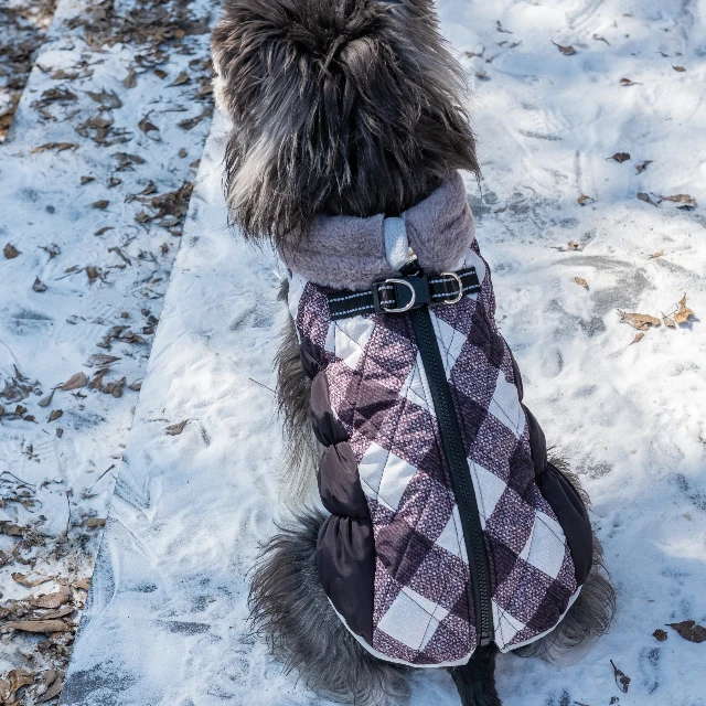 CuteBone New Fashion Design  black and white  Pet Clothing Warm  Dog Coat Jacket Windproof Pet Dog Coat