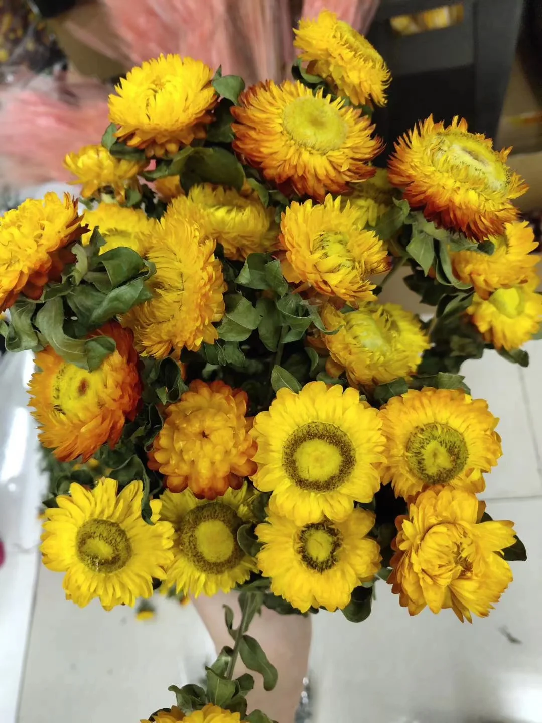 Seven color chrysanthemum gerbera dried flower eternal holiday home decoration arrangement