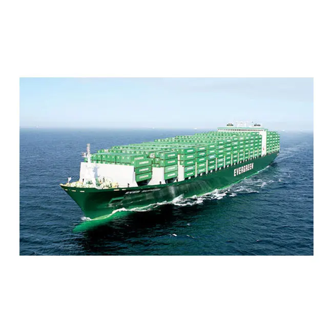 Global logistics Sea shipping DDP truck delivery to US Transportation Services special goods