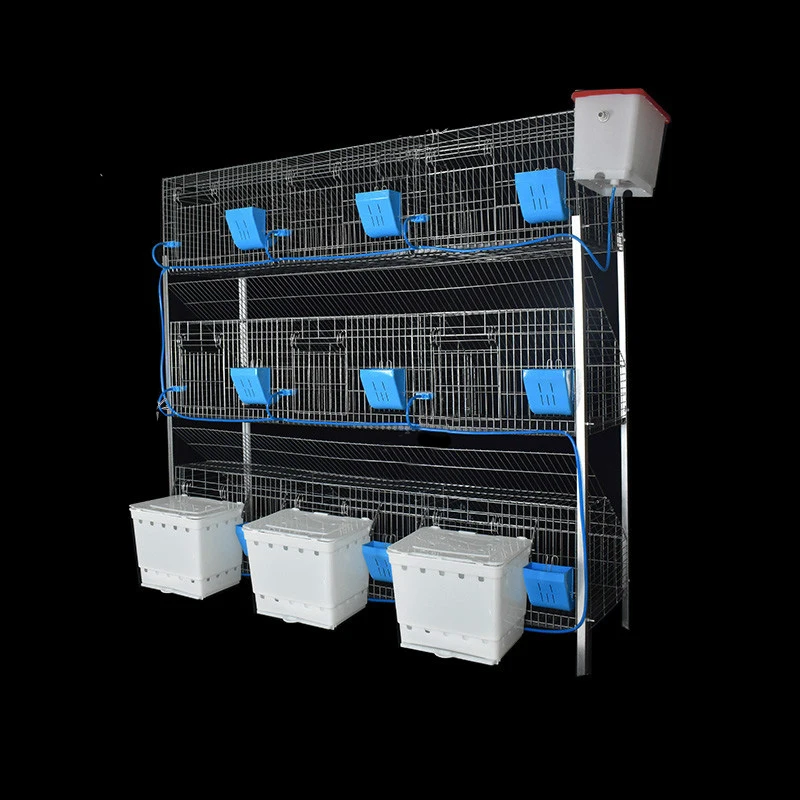 Indoor Rabbit  Farming Cage  Commercial Breeding Farm