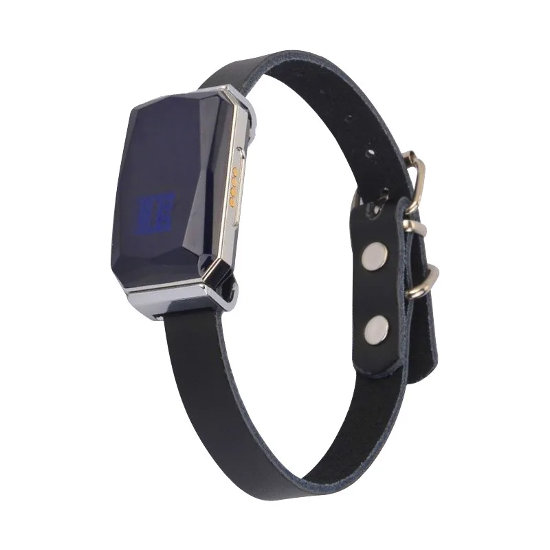 G12 Ip67 Waterproof Tracking Device Implant Phone Wireless Tracer Mini Hunting Pet Dog Gps Locator Tracker Collar