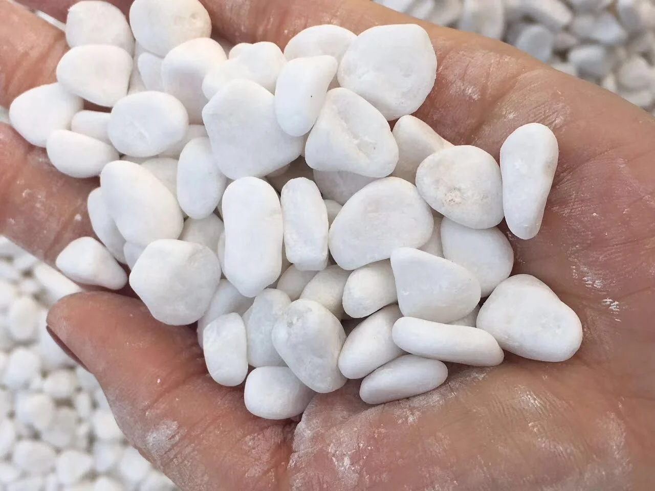 Decorative Landscaping White Marble Pebble Stone