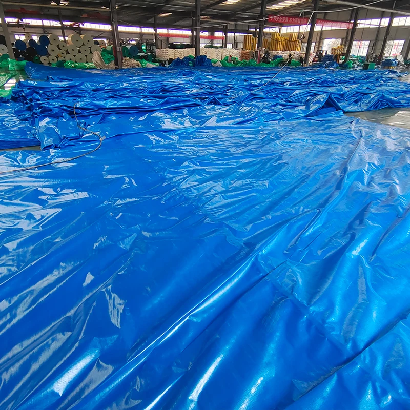 Custom size logo printed tarpaulin canvas 80 gsm- 220 gsm white blue Tarp for roofing temporary cover