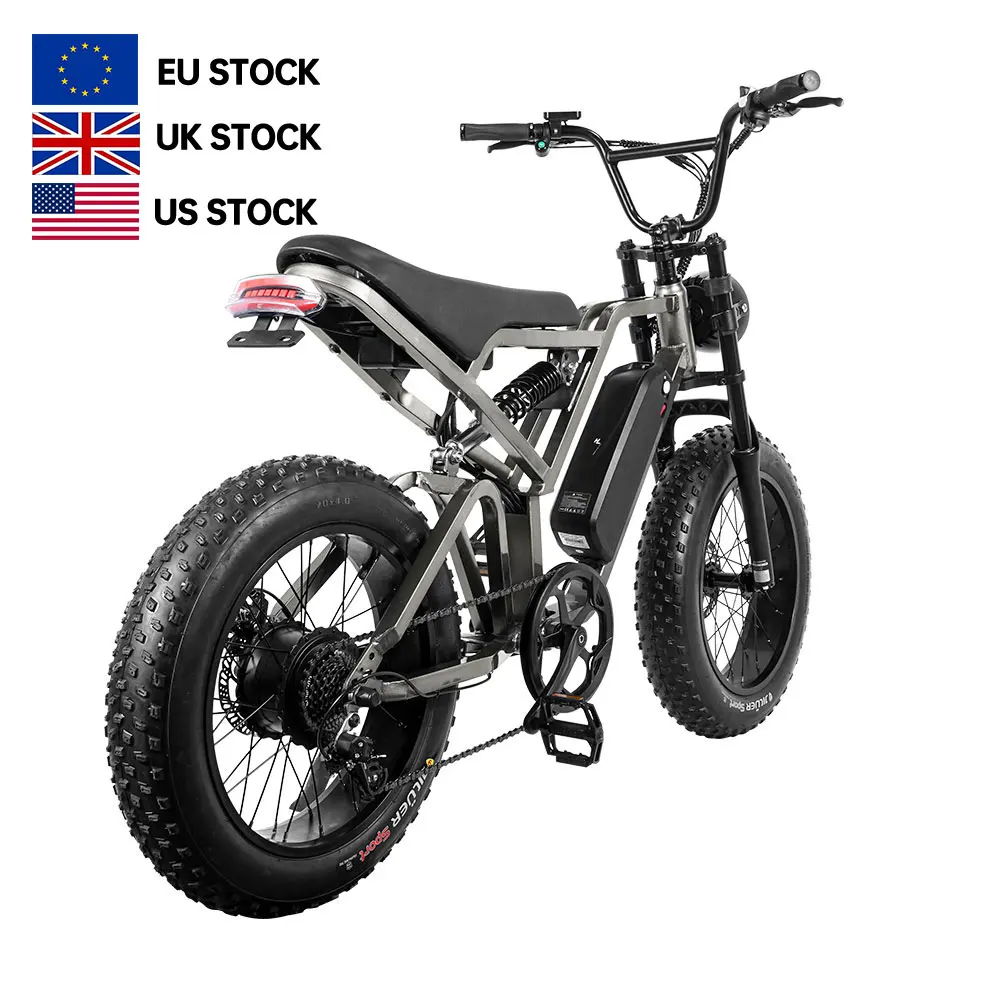Saibaike EU Warehouse Retro Dirt E-bike 48V 750w 1000w Motor Long Range 20 inch Fat Tire City Off Road Ebike Electric Bicycle