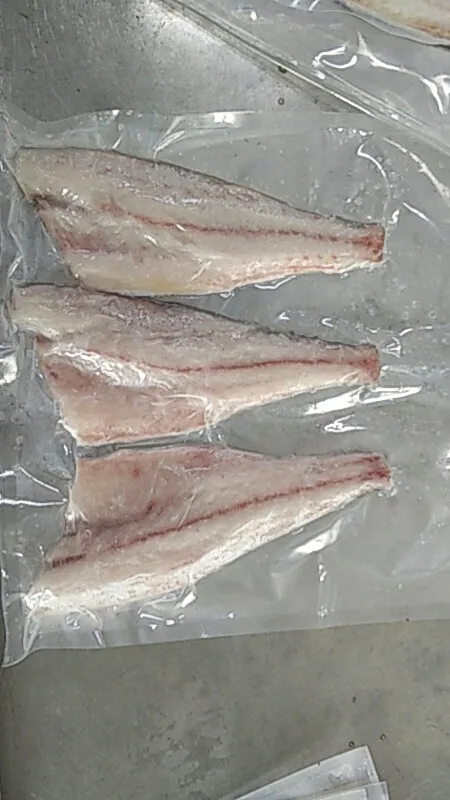Frozen Red Drum Fillet skin on