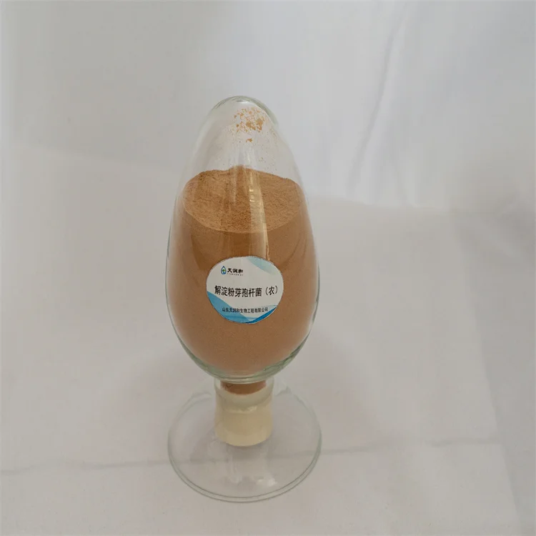 Кормовая добавка Bacillus Amyloliquefaciens