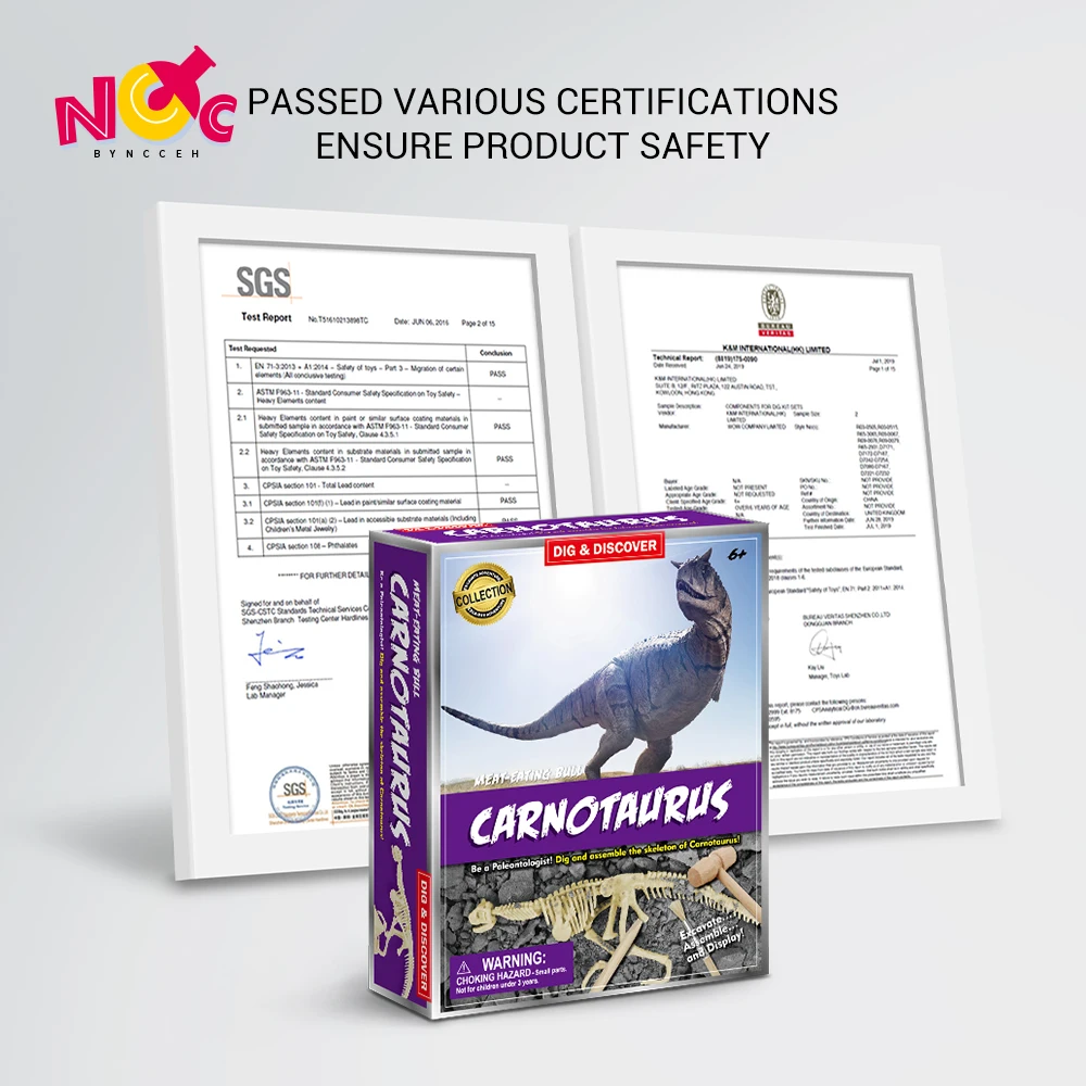 Top Selling Toys Game Kid Other Toys Educational Learning Carnotaurus Dinosaur Excavation Toys for Children