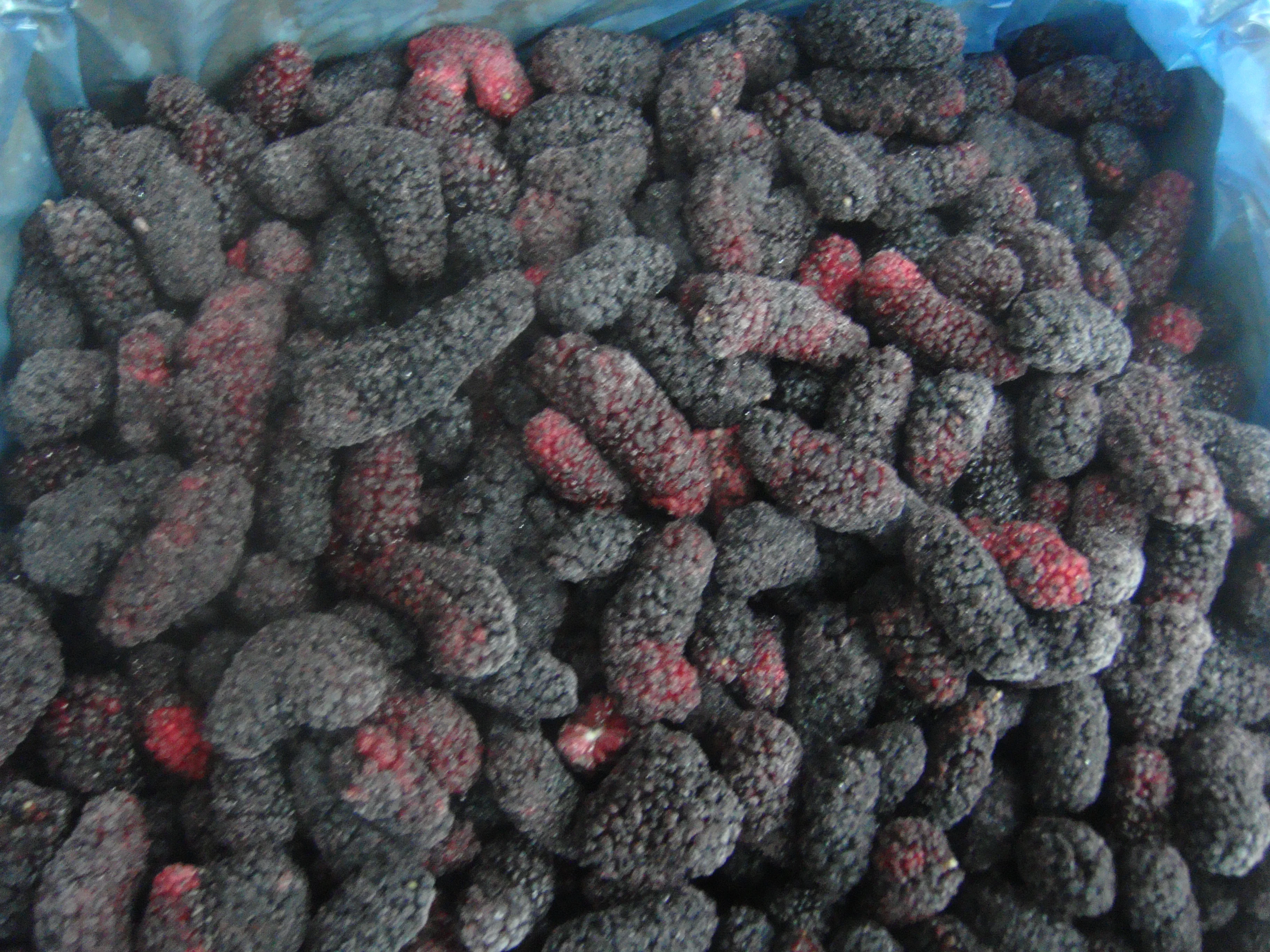 Hot Selling Frozen Fruits Frozen Mulberries IQF Mulberries Frozen Black Mulberry