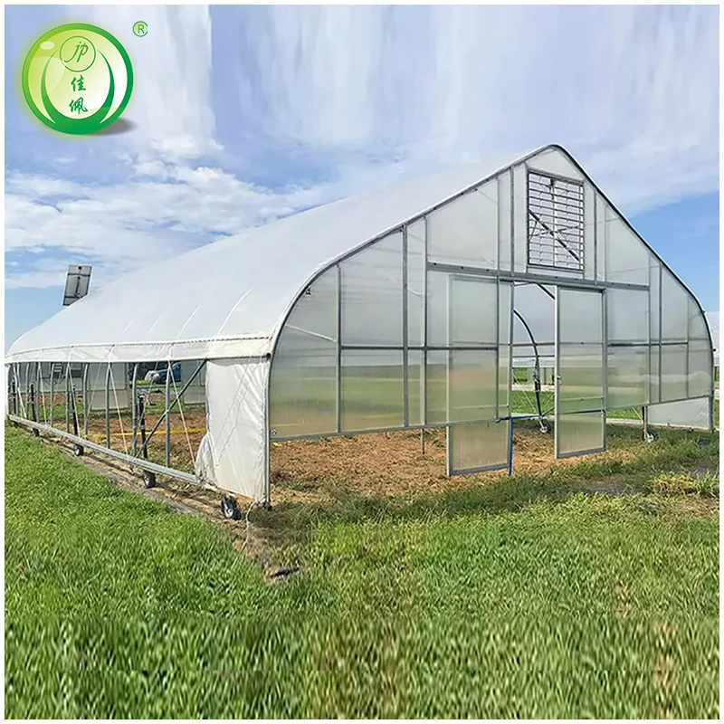 low tunnel greenhouse high strength commercial agricultural poly tunnel single-span green house tomato greenhouse For Sale