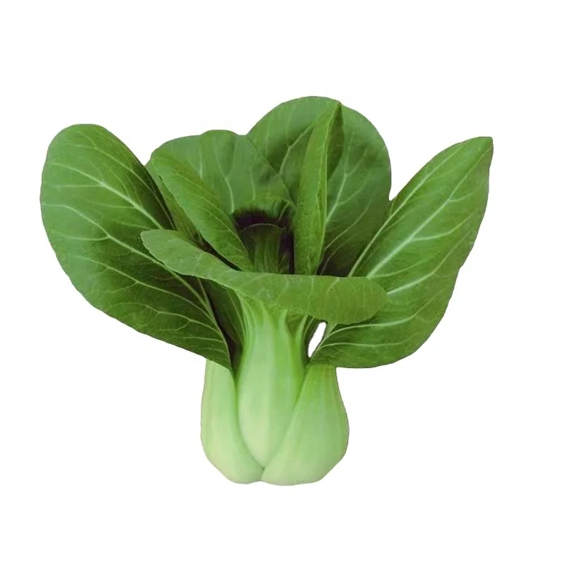 
500g/bag Chinese Best Quality Hybrid F1 Heat resistant Pak Choi Choy Seed Leaf Vegetable Seed for Sale 