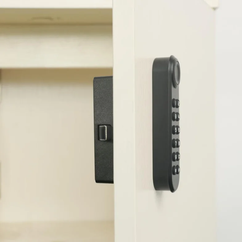 Qidots F035 Electric Fingerprint Password Lock Keyless Digital Keypad Code Cabinet Lock Sauna Locker 125khz Locker Lock
