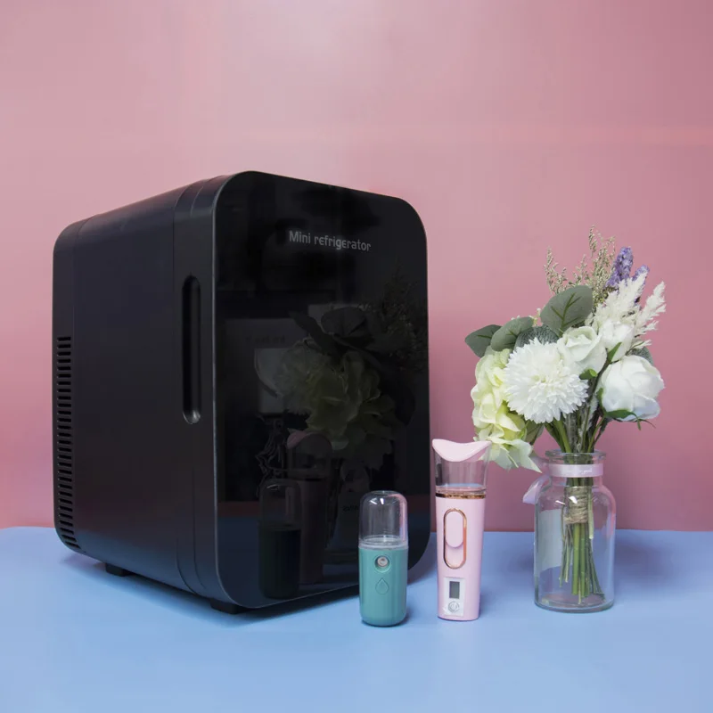 
10 Liter Black Mini Fridge Electric Cooler Warmer AC DC Car Camping Fridge 10L Beauty Skin Care Cosmetic fridge 