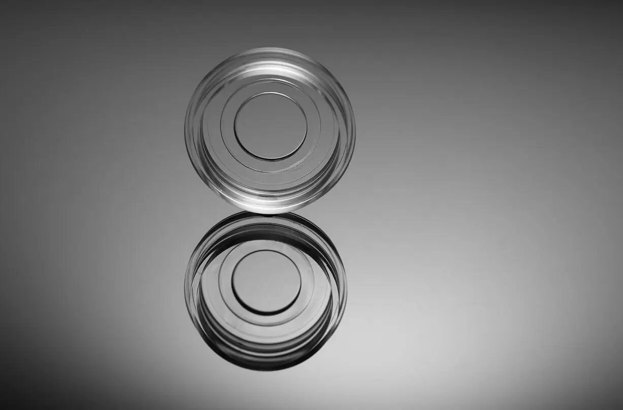 NEST Laboratory 35mm Glass Bottom Cell Culture Dish for Confocal Microscope Cell Observation