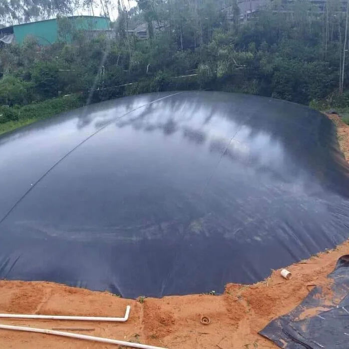 Cheap Price HDPE Geomembrane / Pond Liner  For Biogas / Salt / fish farm / dam / reservoir