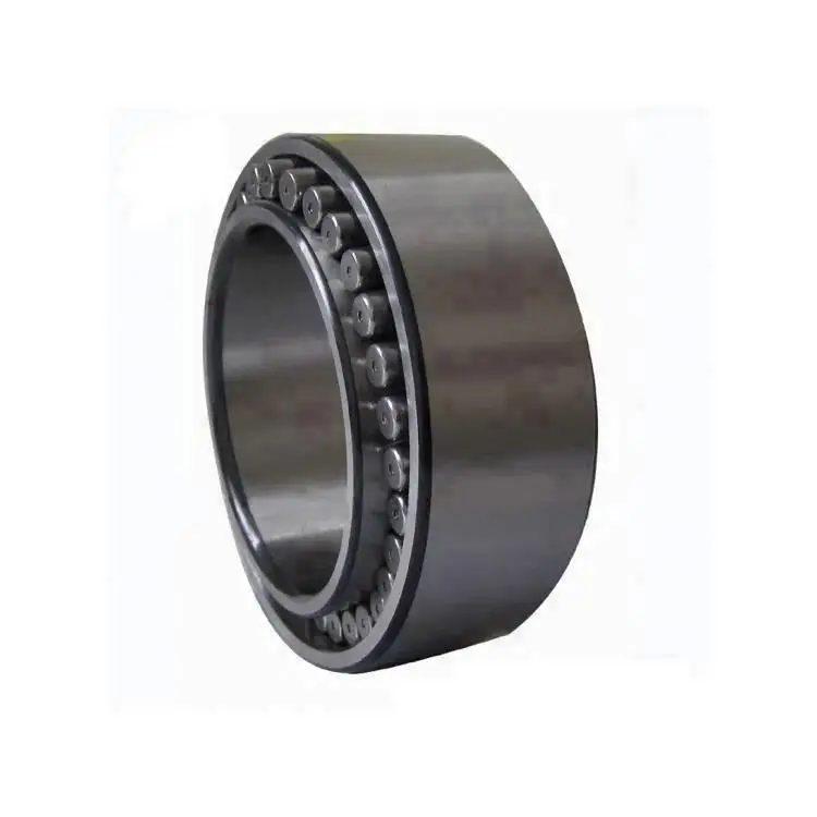 100x165x65mm CARB Toroidal Roller Bearing C4120-2CS5V/GEM9