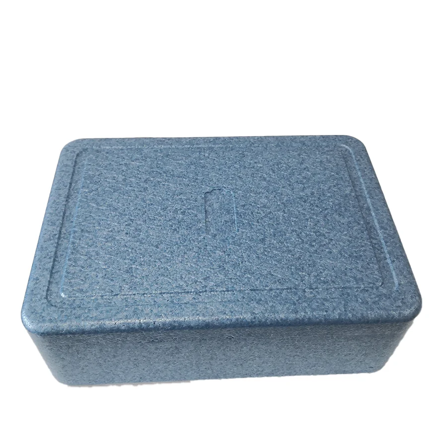 Camping Cold Chain Epp Foam Insulated Container cooler box