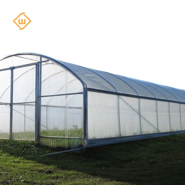 Best-selling galvanized steel structure ventilation system single-span greenhouse for growing tomatoes