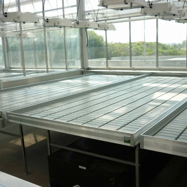 Large Commercial Hydroponic Farm System Ebb and Flow Rolling Table Top Benches Plastic Material for Agriculture Use