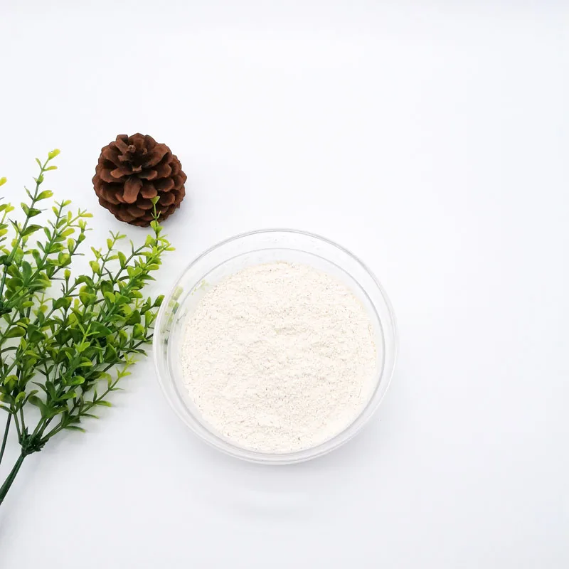 
Good Quality Vegan Protein Best Price from Rice 