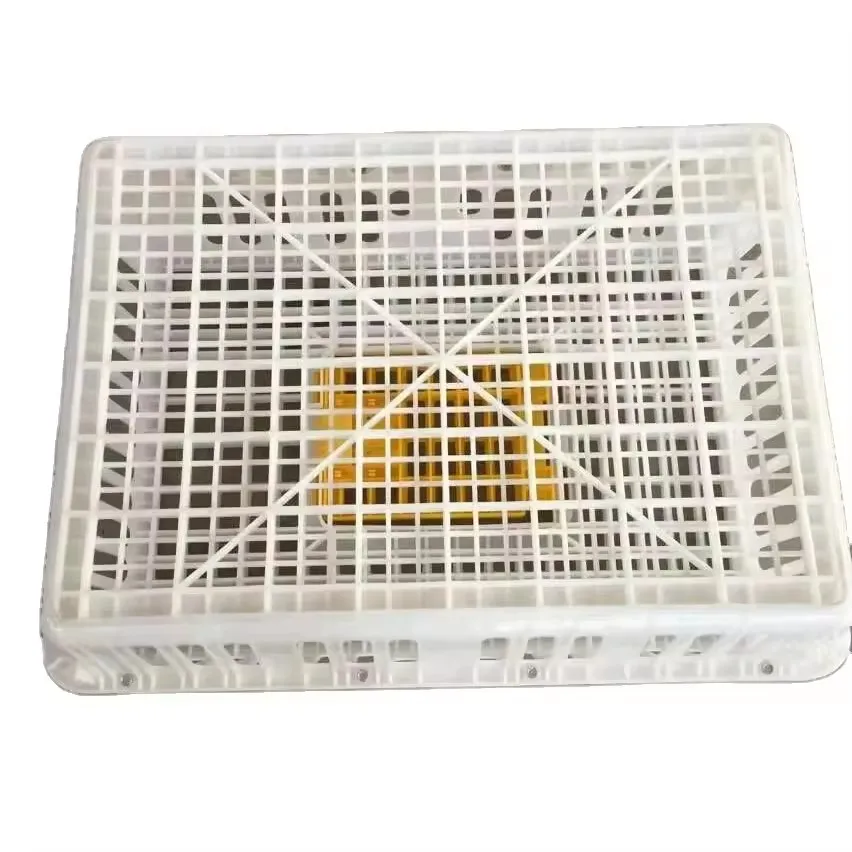 2025 Hot Selling Animal & Poultry Husbandry Equipment Chick Transport Box for Layers Broiler Chickens