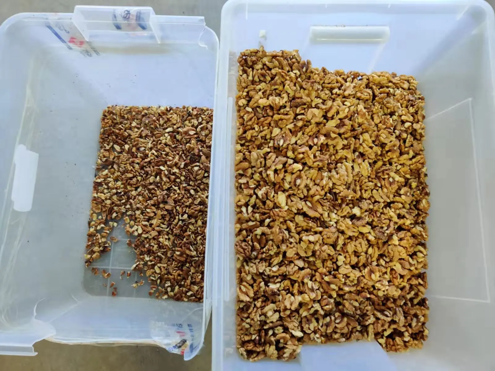 CCD Oat Flakes  Color Sorter Wholesale Color Sorting Machine For Grain Cereal walnut color sorting machine