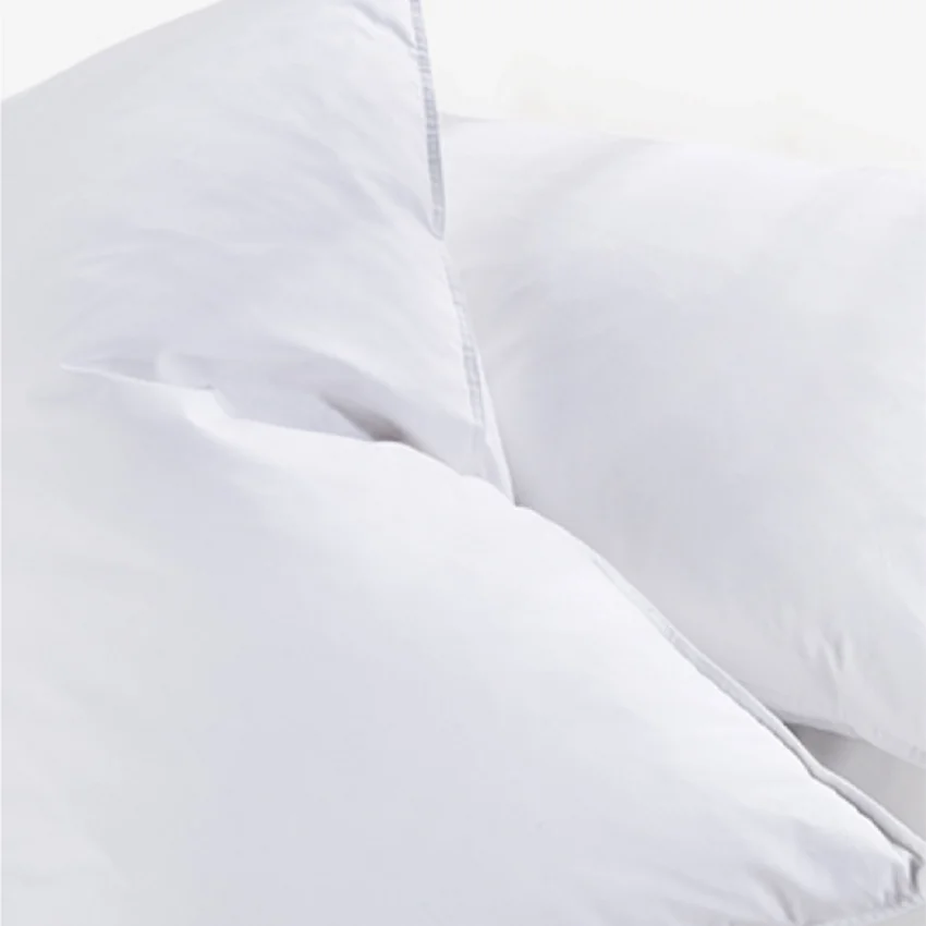 Big OEM Order Service Simple and pure cotton white goose down pillow twin Pack cushion sofa cushion
