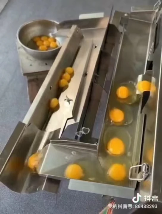 WANLI GROUP 304 Stainless Steel Egg Shell Breaking Peeling Egg Knocking Breaker White Yolk Separator Machine