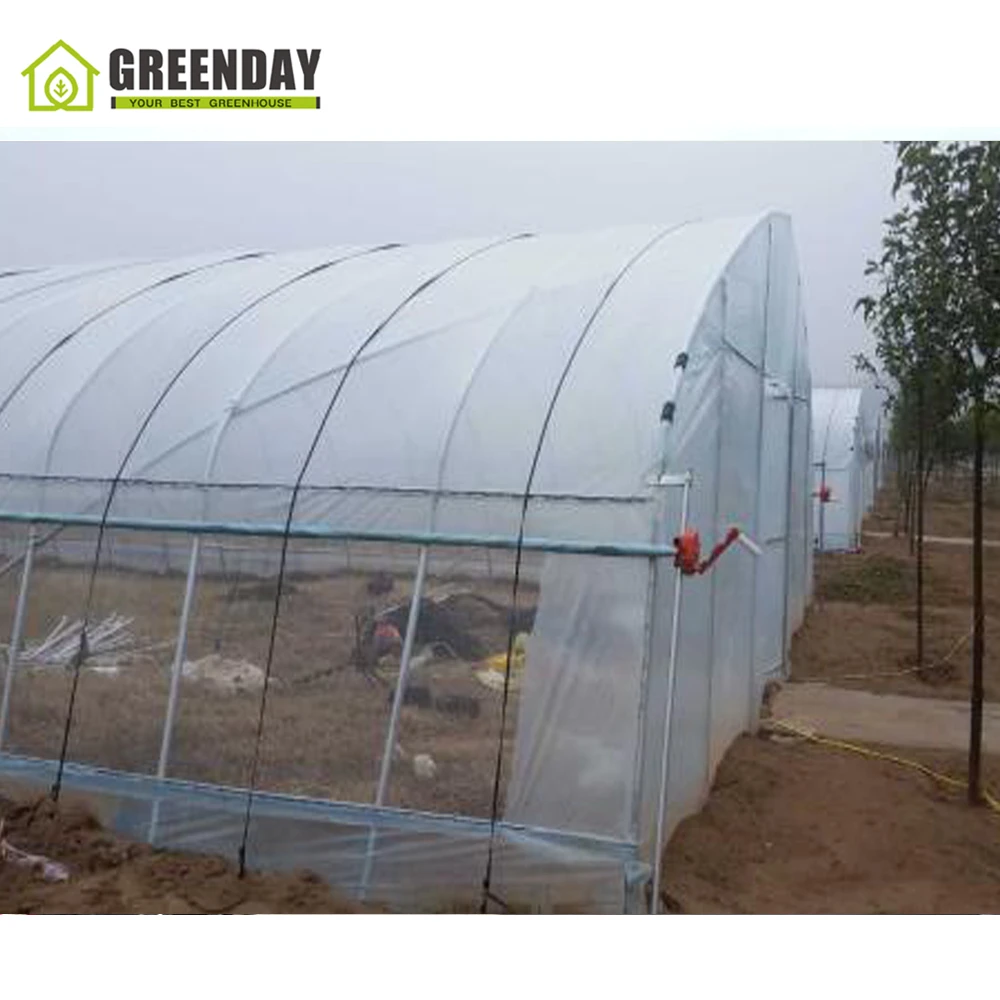 
GREENDAY Chinese morden plastic multi span greenhouse with irrigation system 