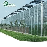 
Good pervious to light Greenhouse agricultural greenhouse 