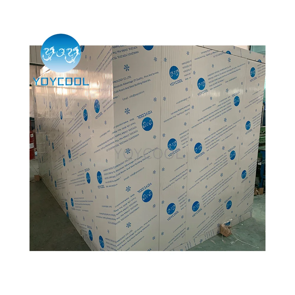 BEST walk in freezer units for sale meat cooler compressor walkin and cold room