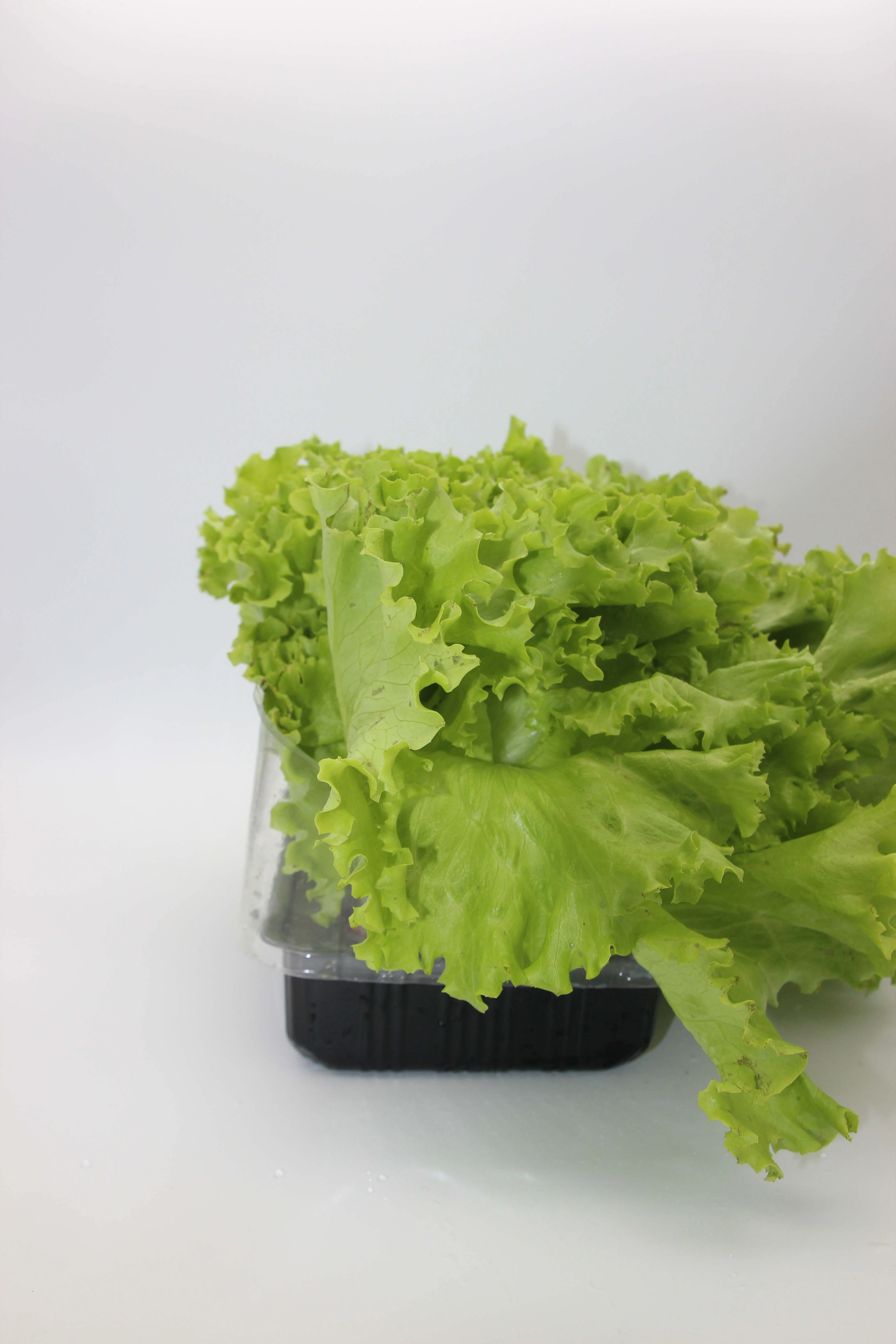 High Grade Wholesale Planting Tray Nursery Trays Garden Stuff Planting Pot