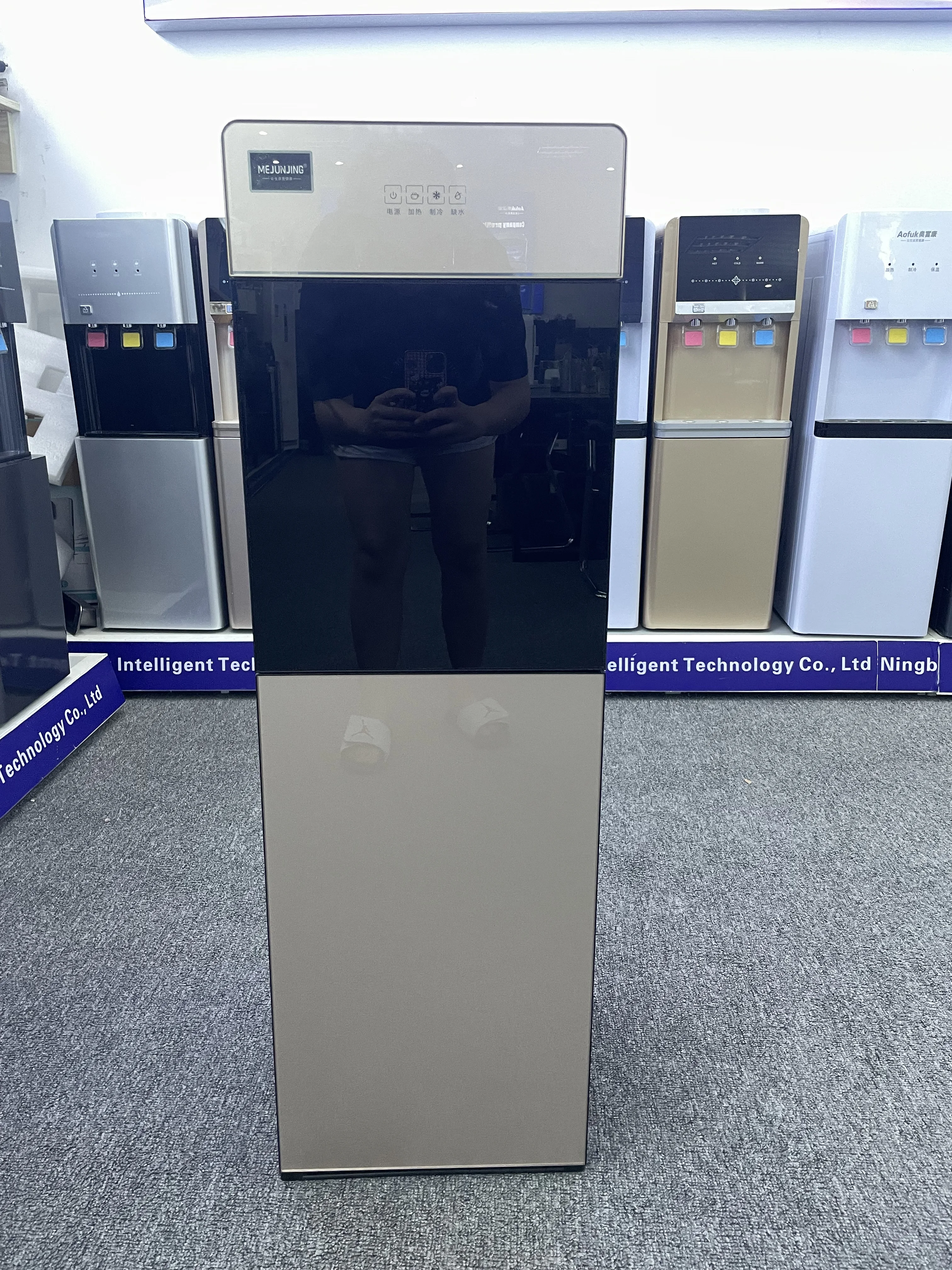 Electronic Water Purifier with Hot and Cold Water Options