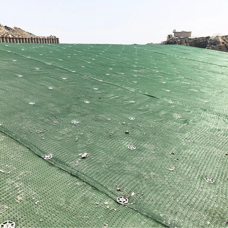 Concrete Erosion Control Geomat Grass Plastic Grid For Slope Protection And Landscape Greening Contemporary Matting