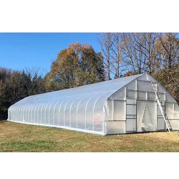 Large Single span vegetable planting agricultural green house tunnel plastic greenhouse metal frame kits