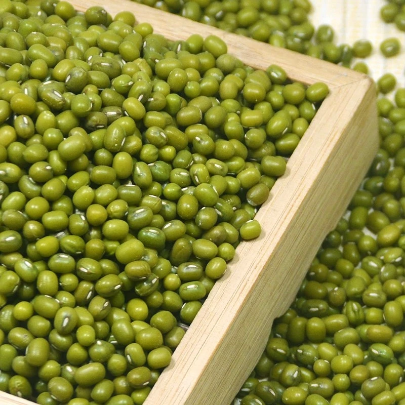  Wholesale Good Quality Market Price Small Green Mung Beans Export