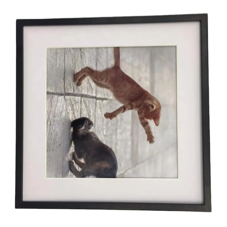 Self Adhesive Photo Frame 6 8 10 12 inch  Photo Frame Mixtile