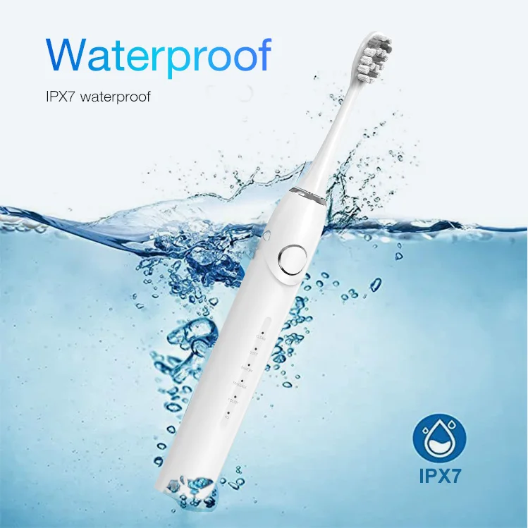 T2425 Adult High Quality Electronic Toothbrush Manufacturing Factory Price Rechargeable Sonic Electric Toothbrushes Electric