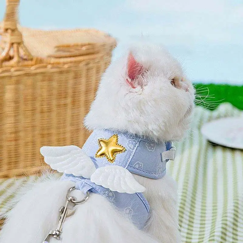 Popular Hot Selling Soft and Breathable 1.5m Angel Wing Design Pet Puppy Harness Set for Small Dog