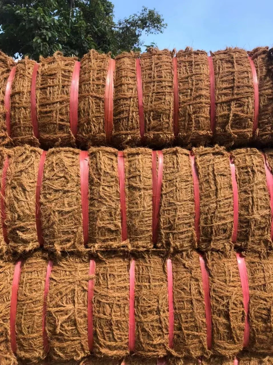 Guangzhou coconut palm net, coconut mat fiber net, coconut net geotextile are used for greening the mining area