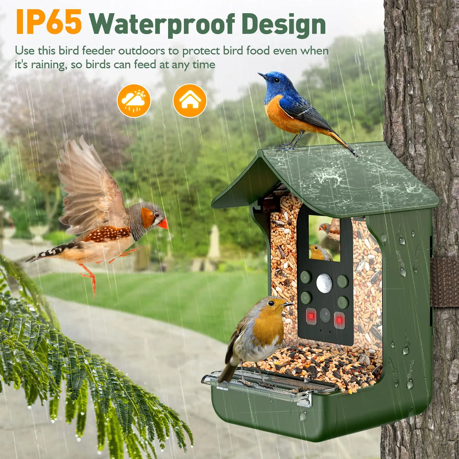 Wholesale rechargeable night vision smart bird feeder camera window squirre humming automatic bird feeder