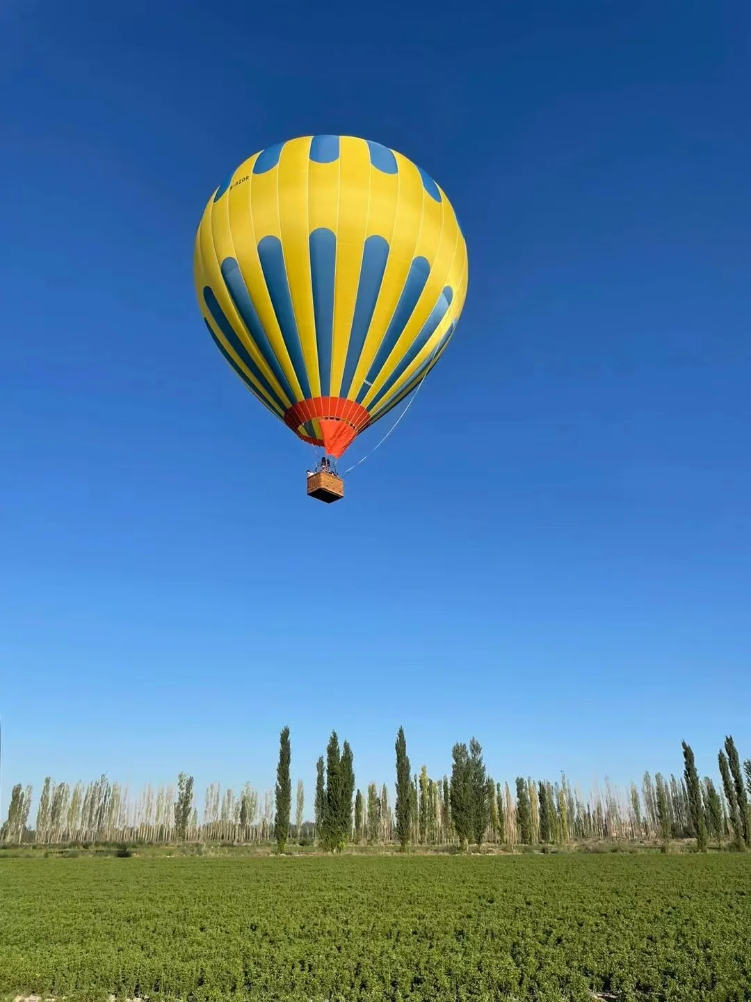 Надувной шар из ПВХ для вечеринок